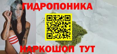 винт Тара