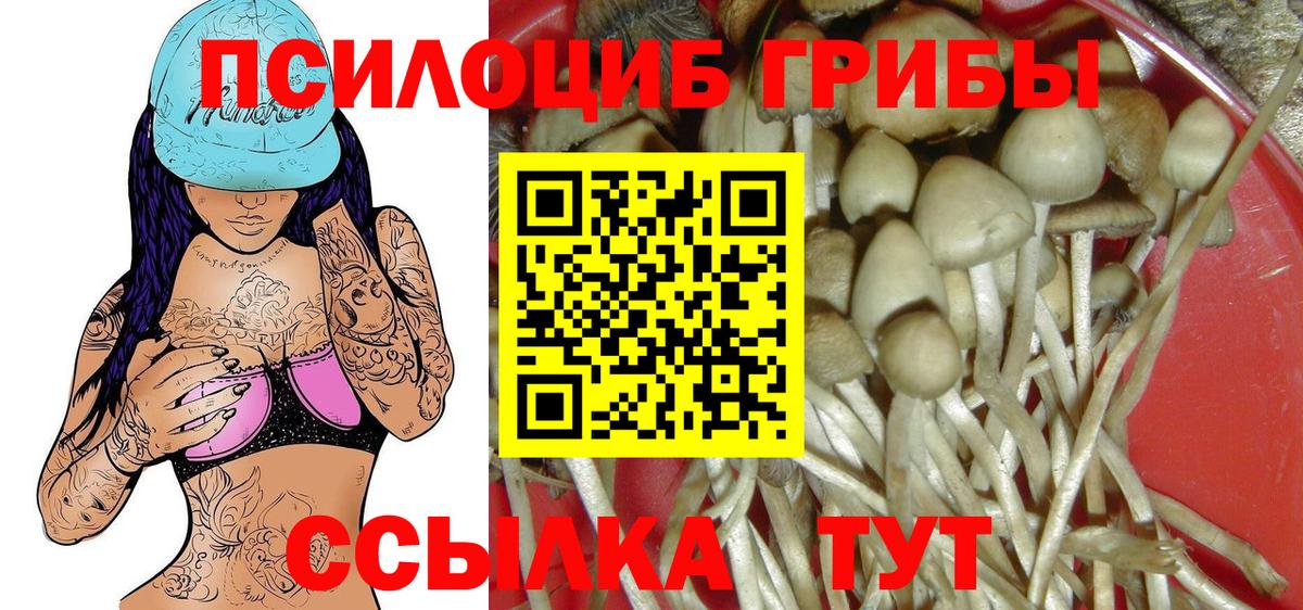 Галлюциногенные грибы прущие грибы Ноябрьск
