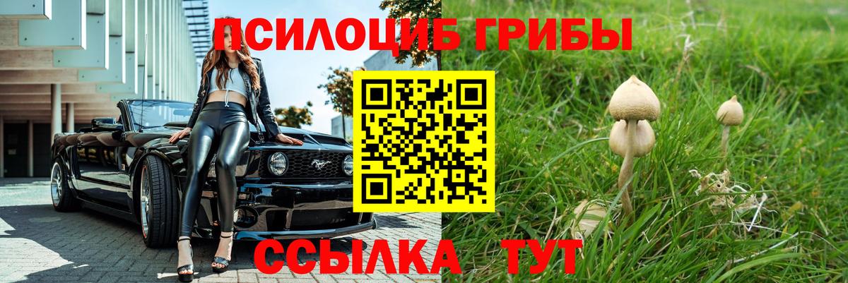 Ноябрьск  Псилоцибиновые грибы MAGIC MUSHROOMS  закладка  Вход с VPN 
